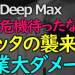 サバクトビバッタ_妙佛さん