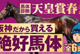 やーしゅん馬体予想_天皇賞春