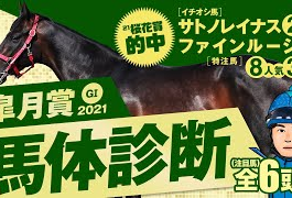 やーしゅん馬体＿皐月賞