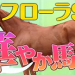 やーしゅん馬体予想_フローラステークス
